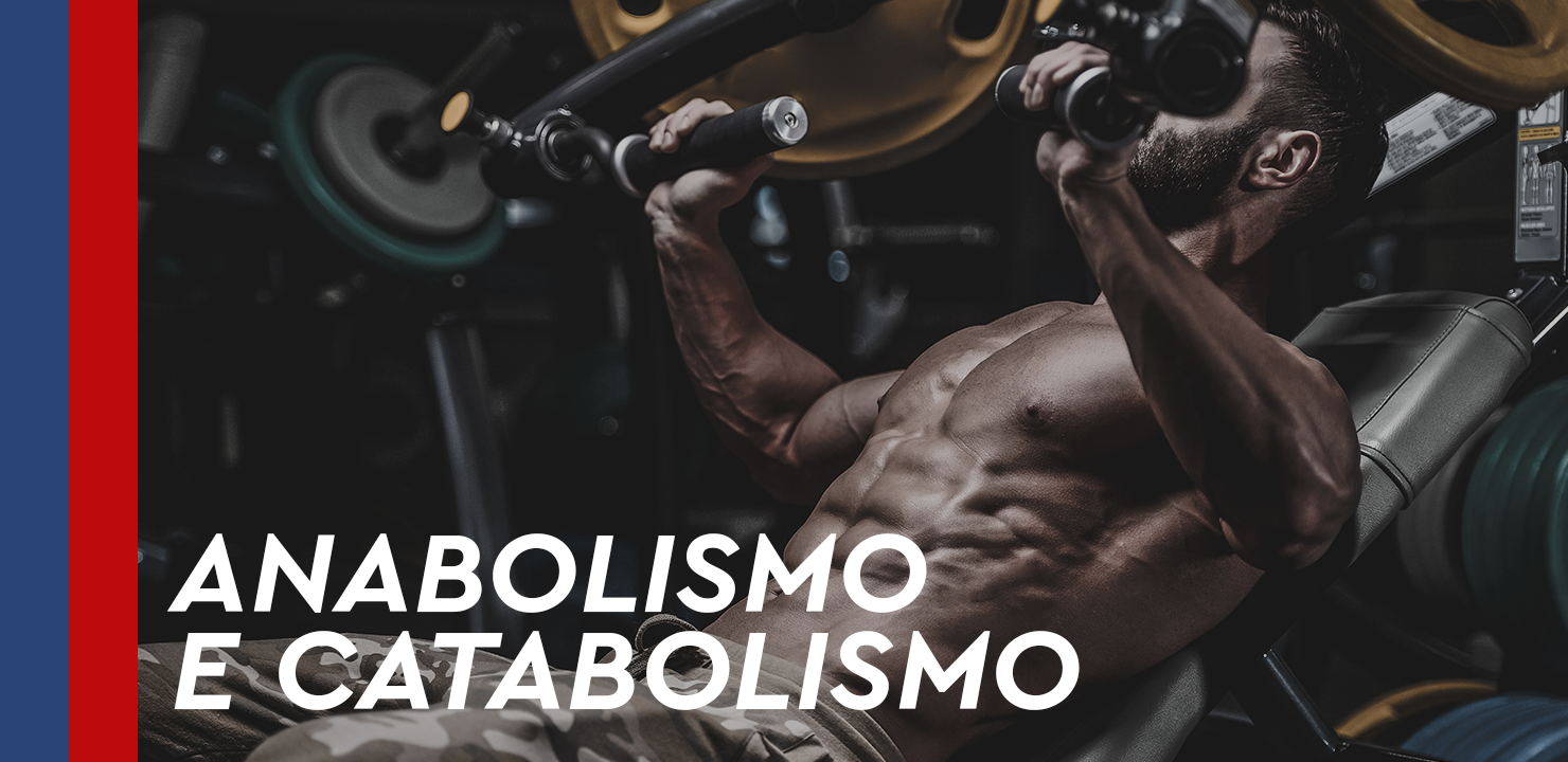 Recomendaciones sobre el uso de proteína en el ejercicio de acuerdo con la I